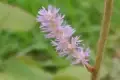 이타닉가든 예약 바로가기|취소분 공략 팁|예약문의에 대한 사진