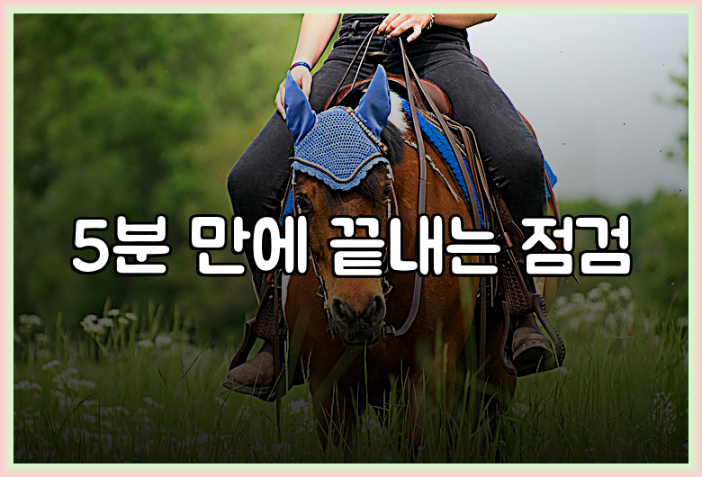 5분 만에 끝내는 점검