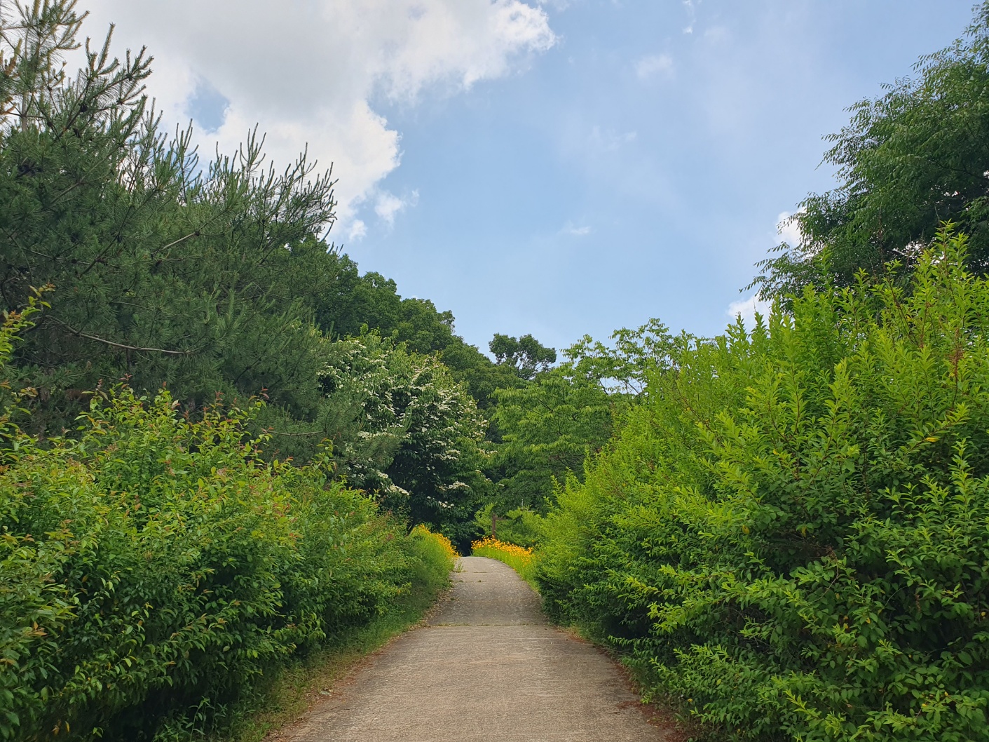 진천 생태공원 보탑사 근처 카페
