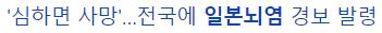 일본뇌염 예방접종 시기 및 성인 증상