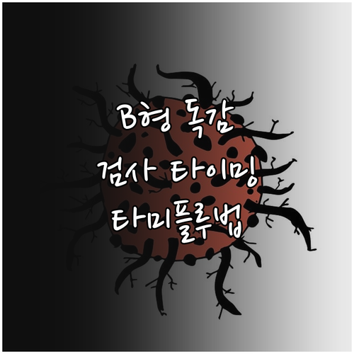 B형 독감 검사 적정 시간과 타미플루..