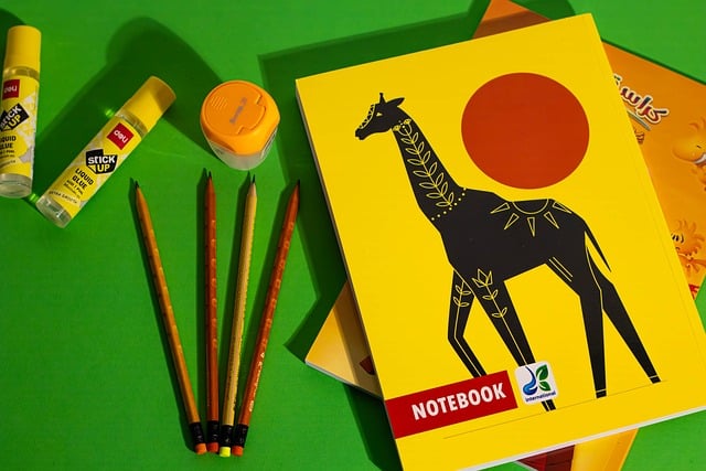 새학기 신학기 초등입학 준비물