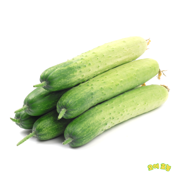 오이 효능 : 오이의 효능 알고 드세요!
