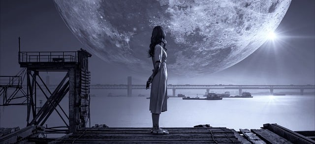  25년 을사년 신년 운세 사주 
