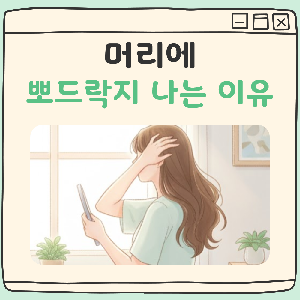 머리에 뽀드락지 나는 이유 대표 이미지