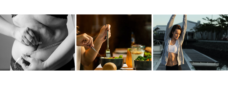 덴마크 다이어트 효과