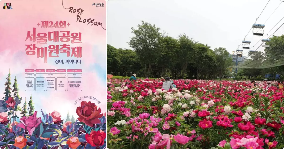 서울대공원장미원축제