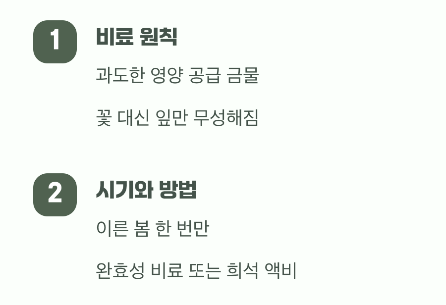 소박하지만 확실한 영양 공급