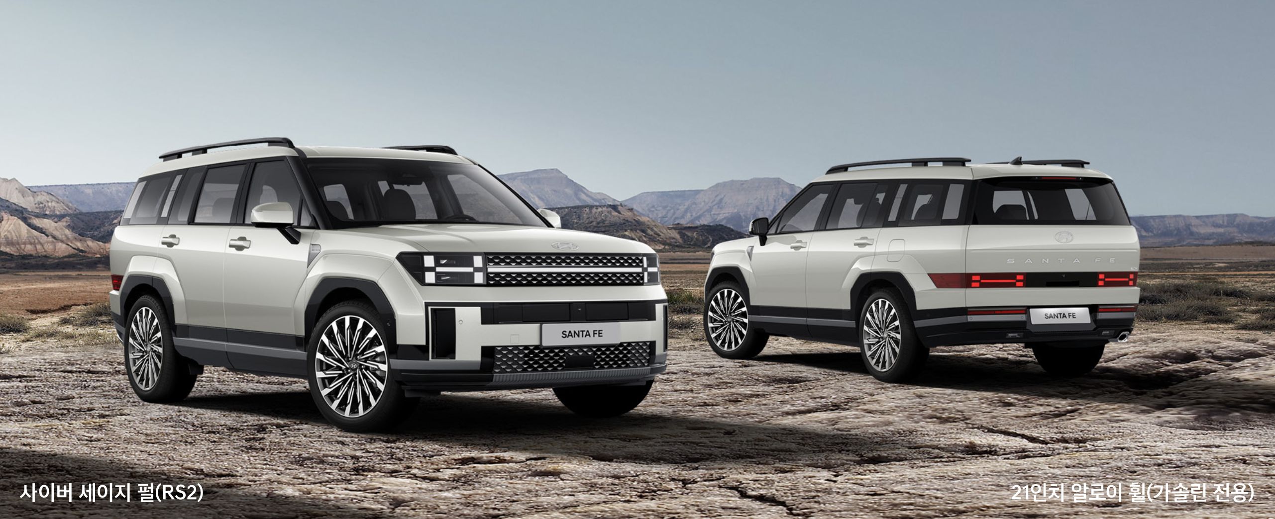 사이버 세이지 펄(색상코드 :RS2)