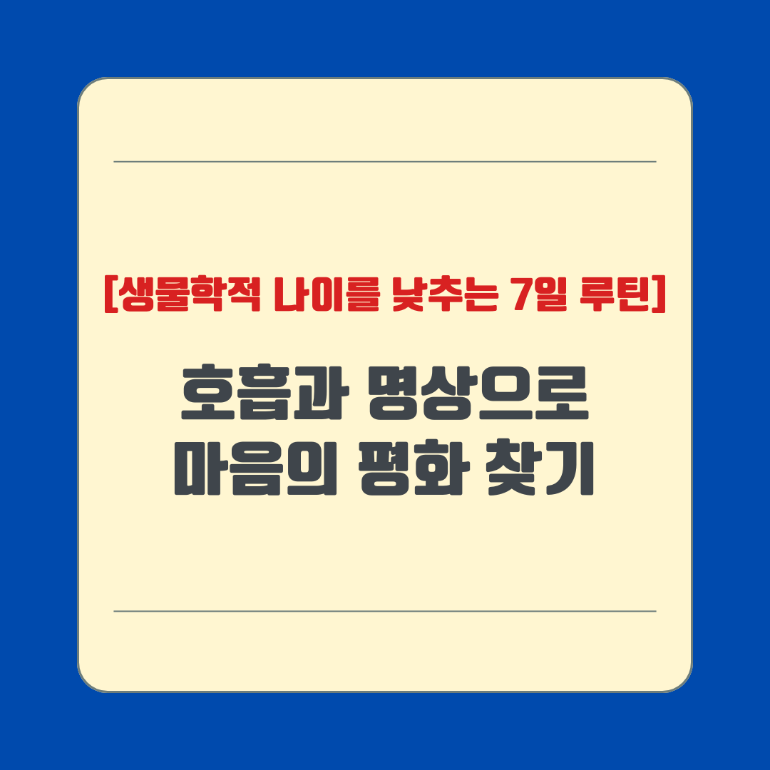 호흡과 명상으로 마음의 평화 찾기