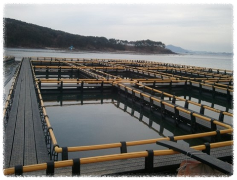바다-위에-가두리-양식장이-떠-있는-모습