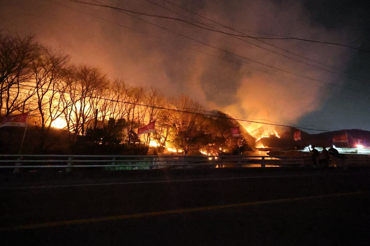 경북 의성 산불 닷새째&hellip;사망자 15명, 피해 지역&middot;원인 총정리