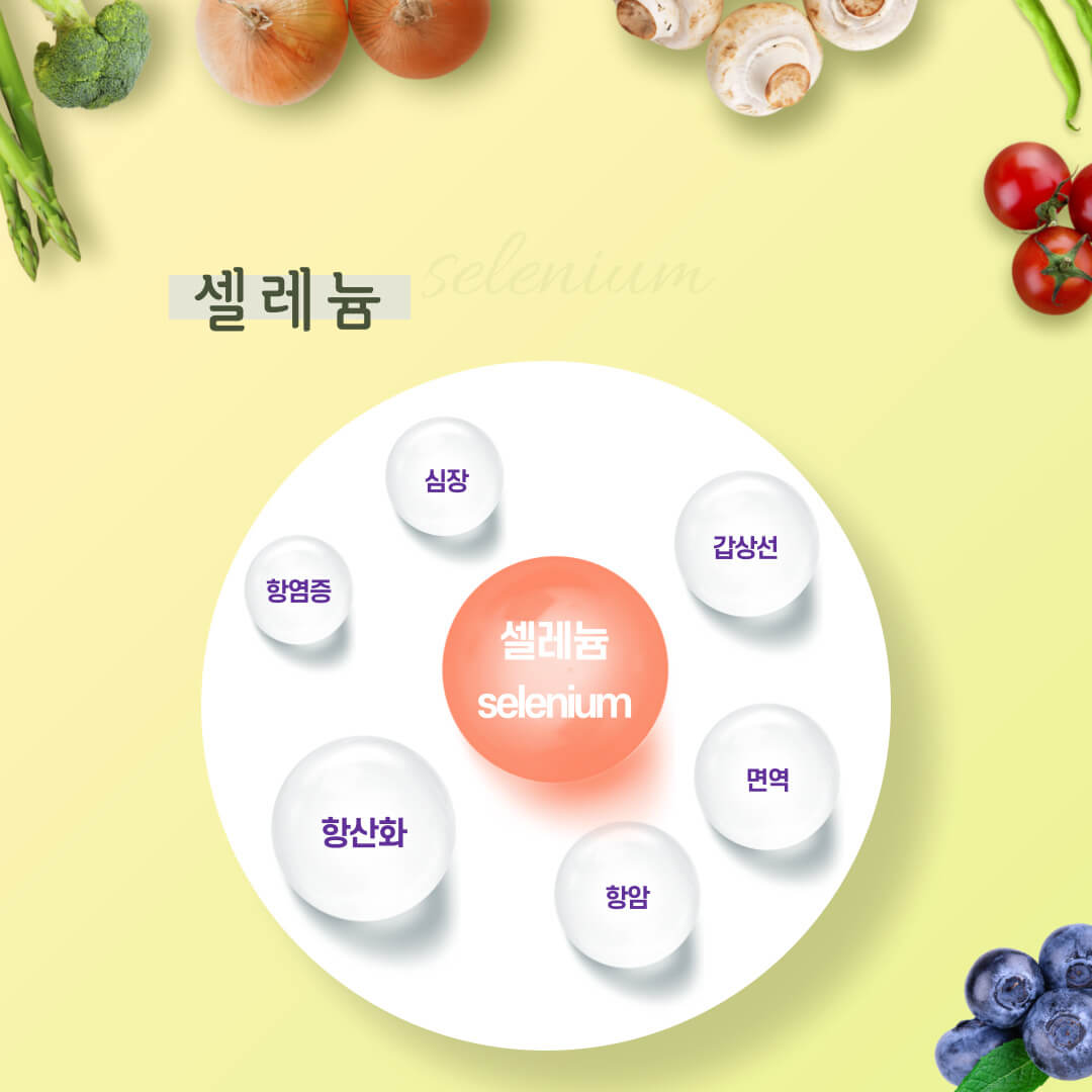 셀레늄과 항산화 푸드 01