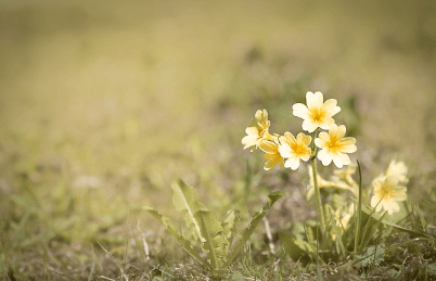 별 헤는 서울숲
