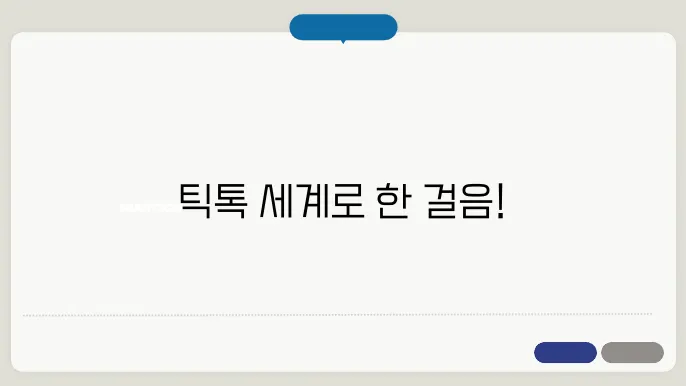 틱톡 글로벌 사용 현황