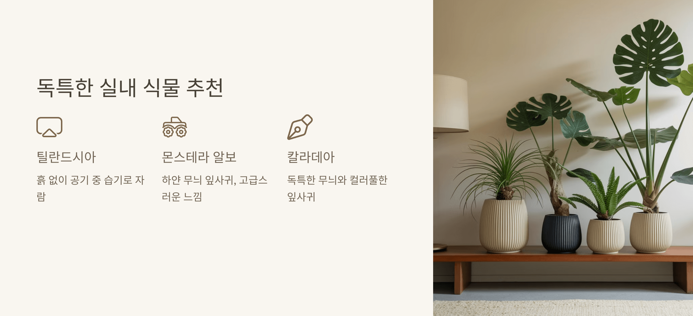 독특한 실내 식물 추천