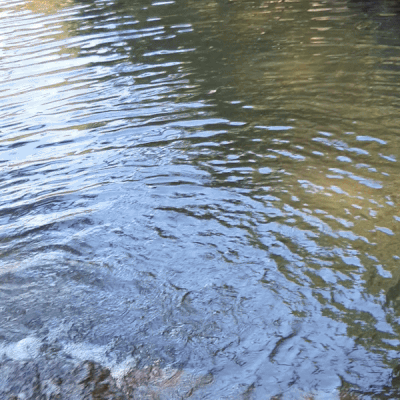 월척 낚시 성공