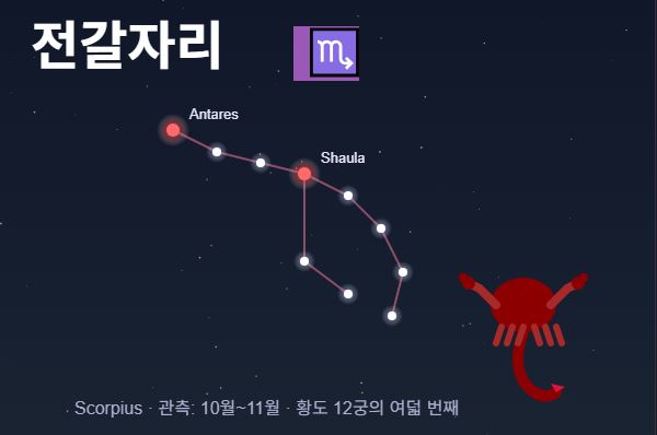 2026년 별자리 운세 총정리