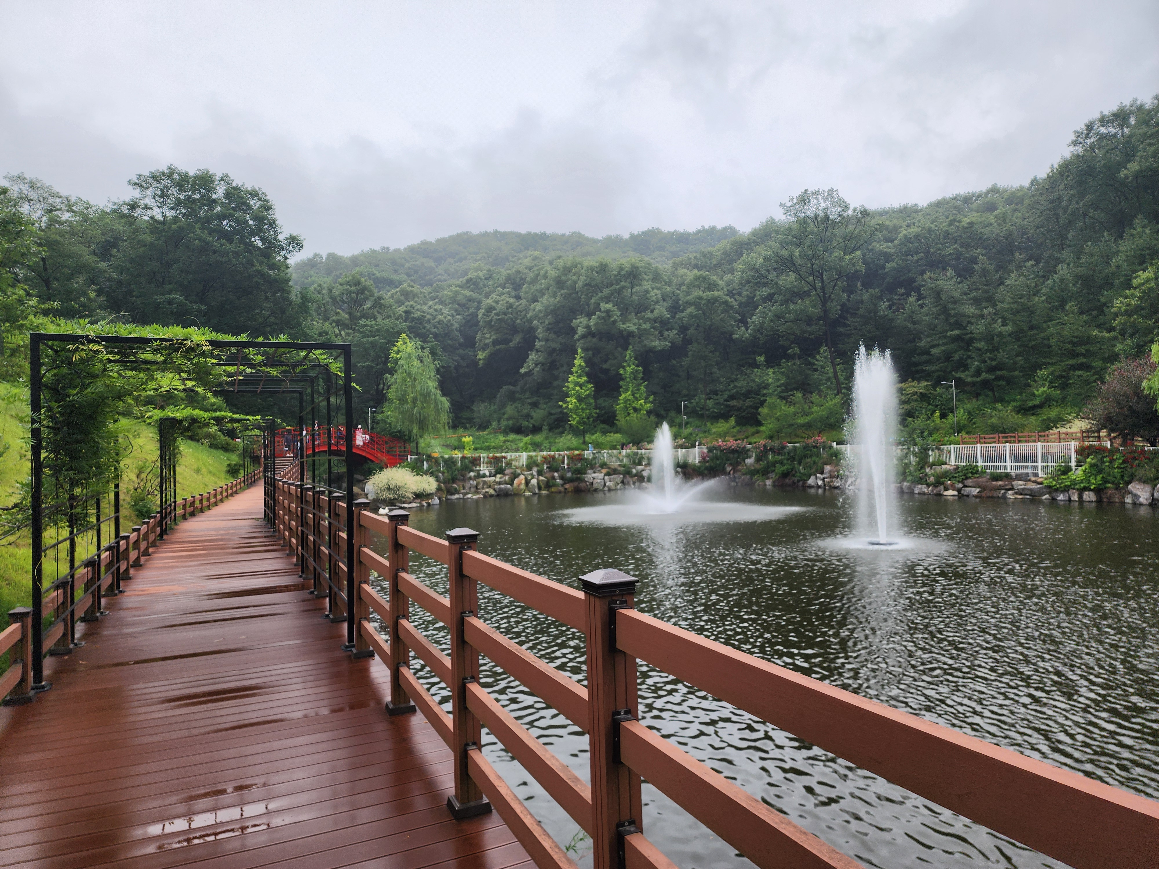 베툴라 in 용인