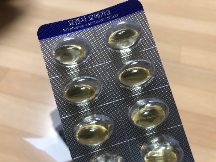 고양이필수영양제