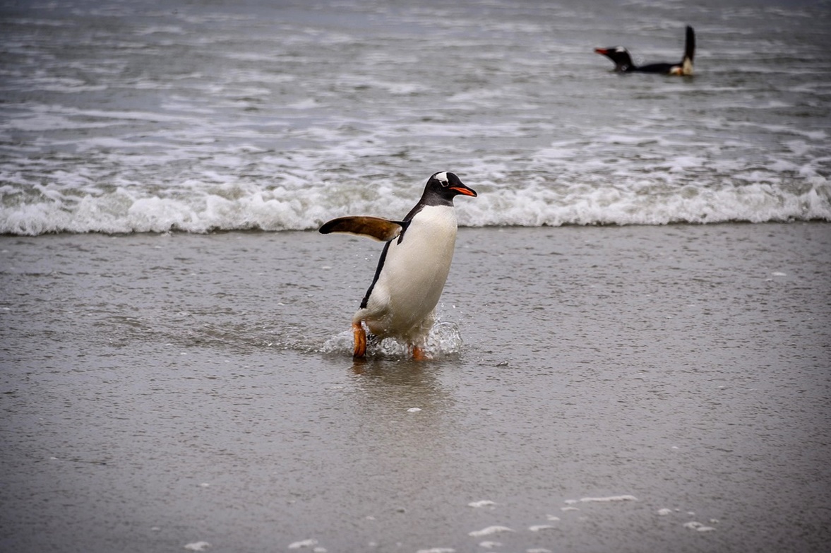 빙하 붕괴는 얼음이 좀 녹는다고 얼마나 큰 변화가 있을까!