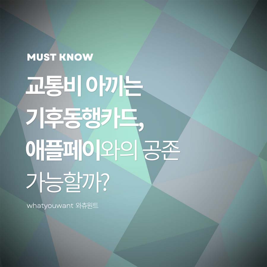 교통비 아끼는 기후동행카드 ❘ 애플페이와의 공존 가능할까?