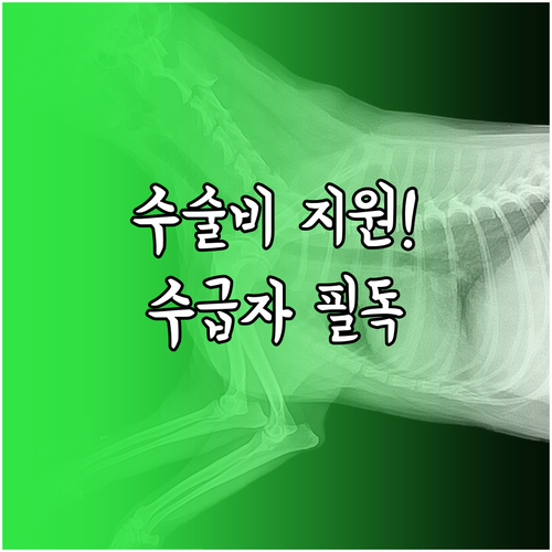 기초생활수급자 반려동물 수술비 및 예..