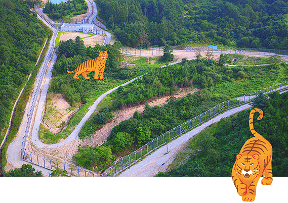 국립 수목원 예약