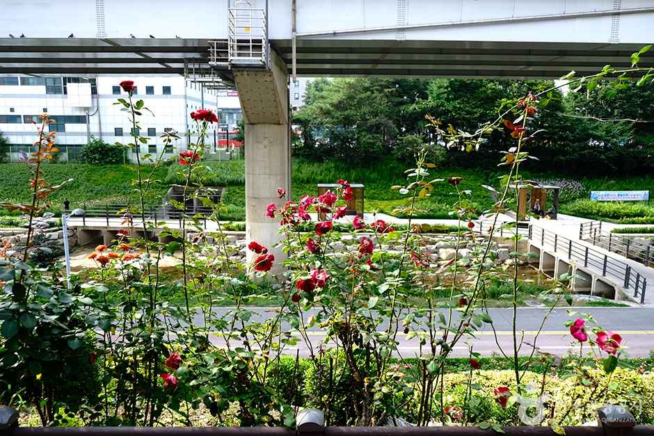 포토존 & 전시 명소