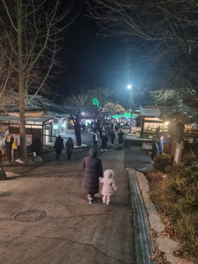 가평 아침고요수목원 빛축제 가족여행 후기