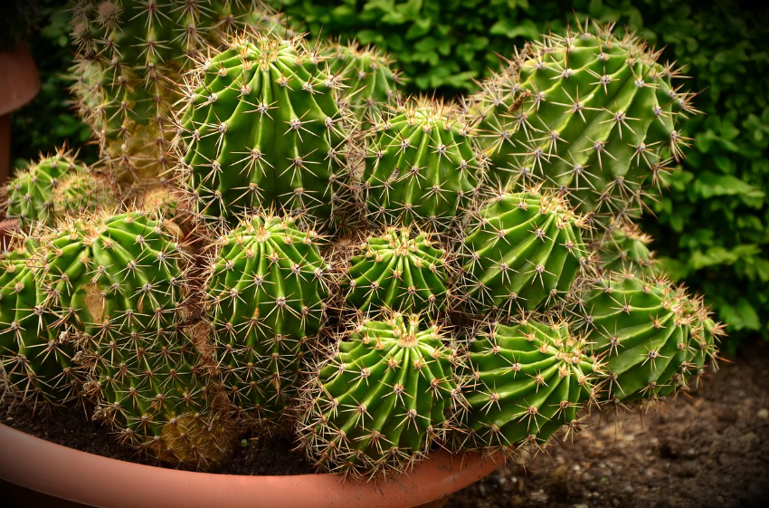 속이 쓰리고 아픈 당신을 위한 위궤양 완전 정복 가이드: 원인부터 관리법까지