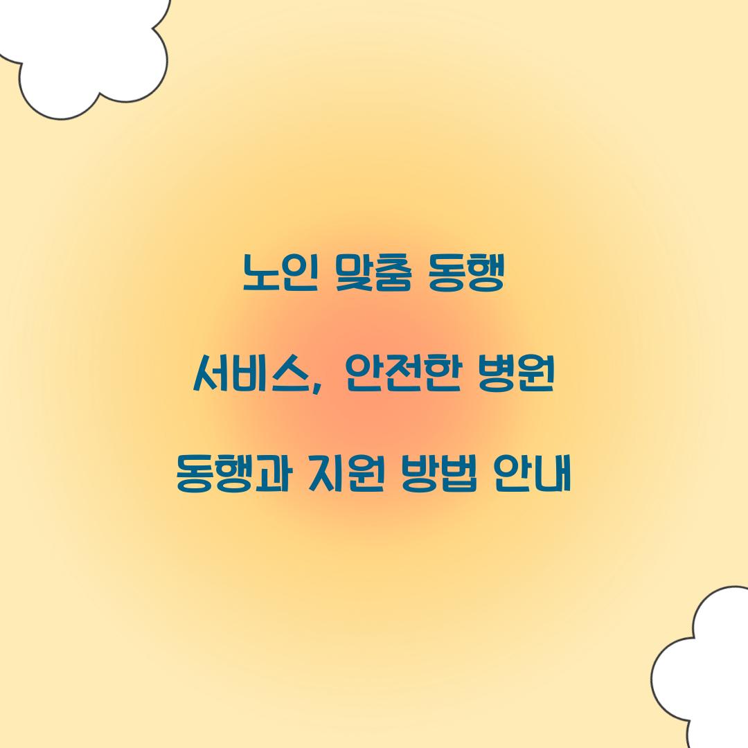 노인 맞춤 동행