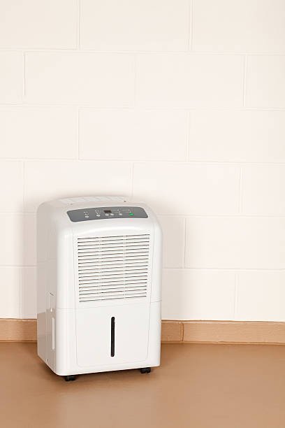 제습기 소음 비교 정리