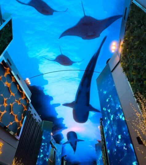 인스파이어-리조트-오로라