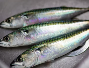 당뇨병에 좋은 음식 영양제 식단