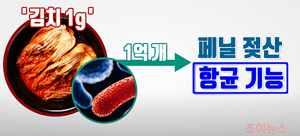 김치의 발효과정1_ytn사이언스유튜브