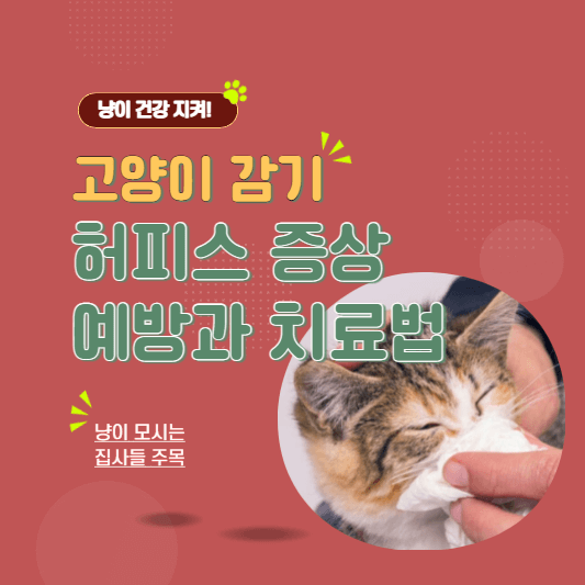 고양이감기