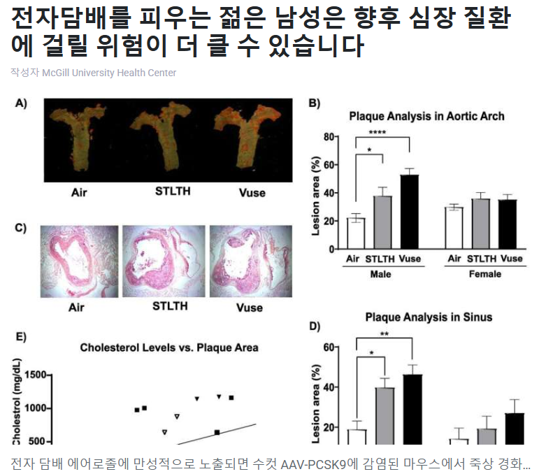 전자담배 질환 문제점 기사