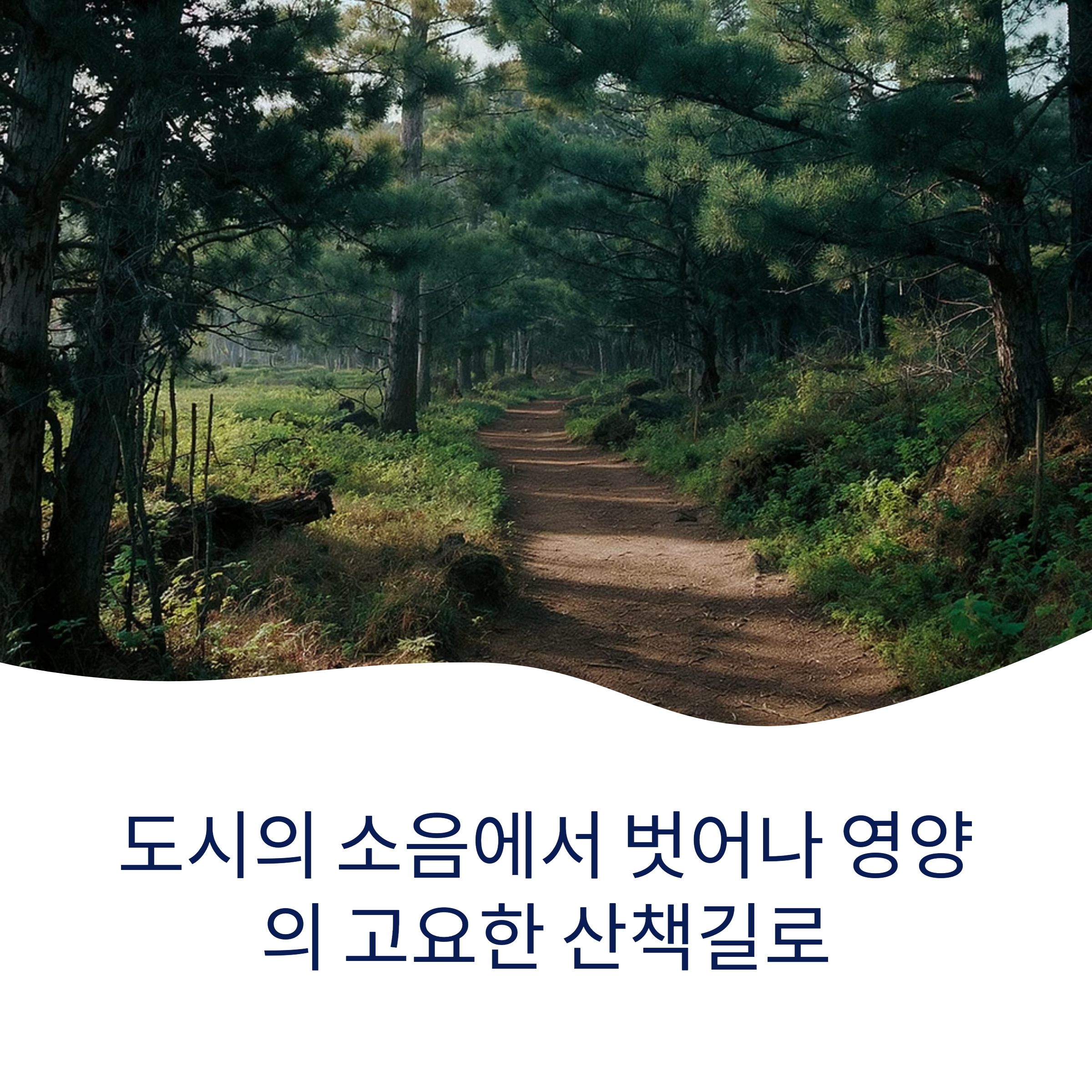 영양 걷기 코스 – 사람 없는 조용한 산책길