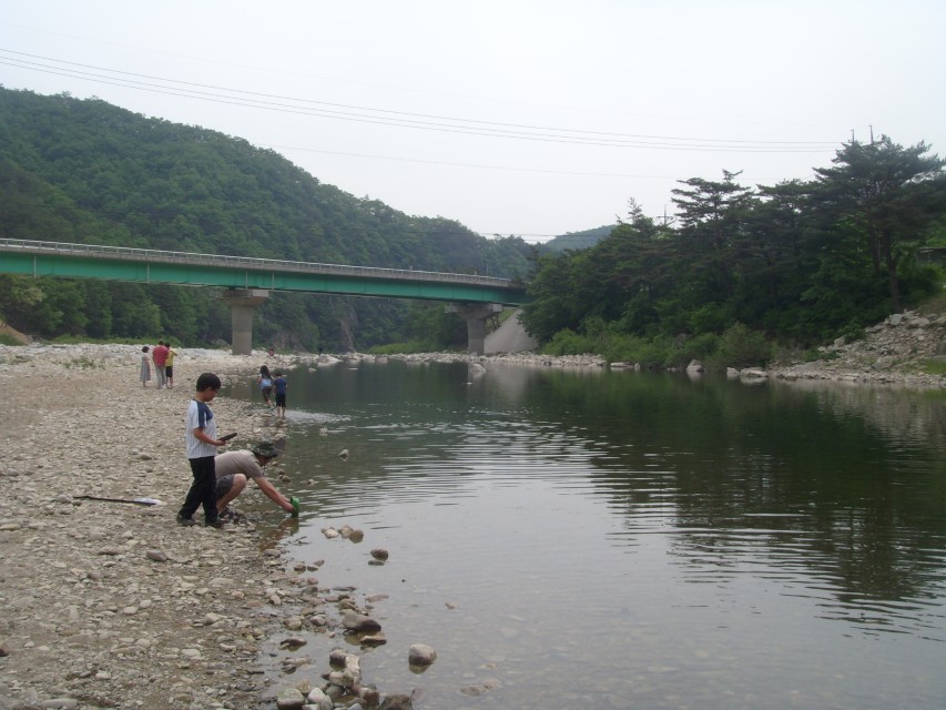 영월 리버힐즈 캠핑장 앞 동강 물가 풍경