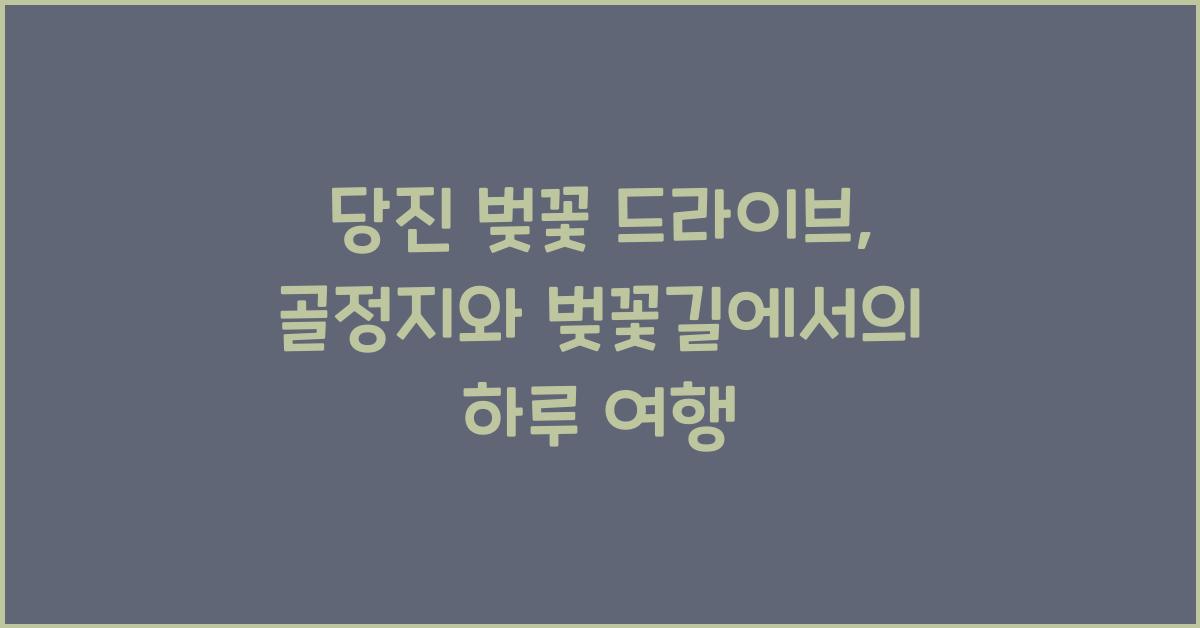 당진 벚꽃 드라이브