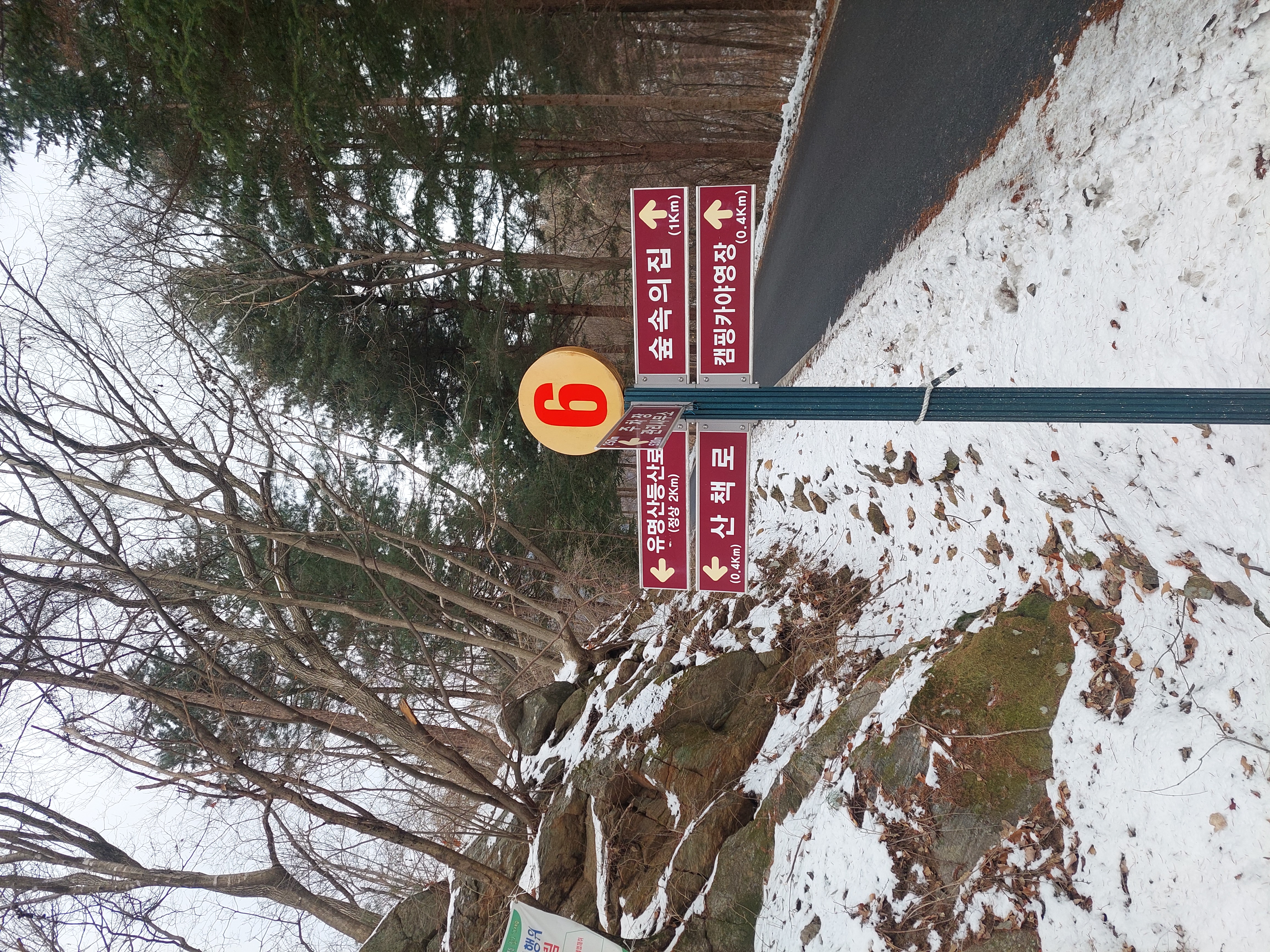 유명산