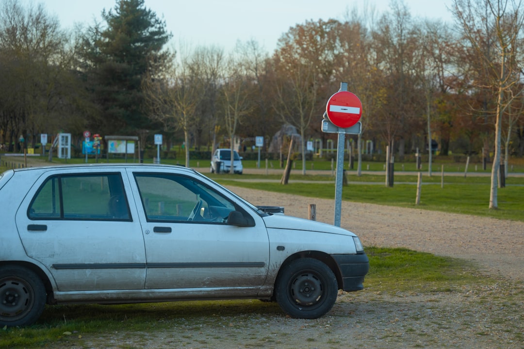 'Used Cars'