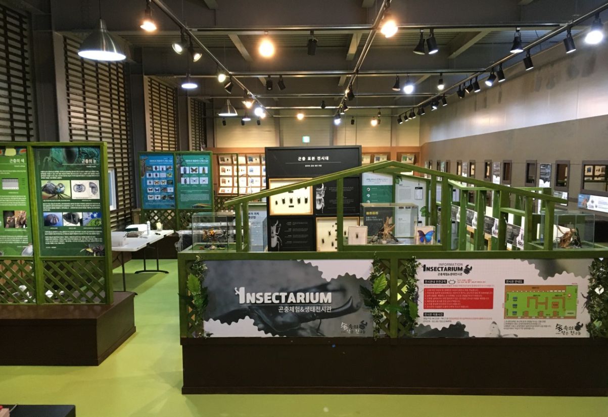 숲속의작은친구들