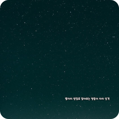 생일 별자리로 알아보는 쌍둥이자리 성격