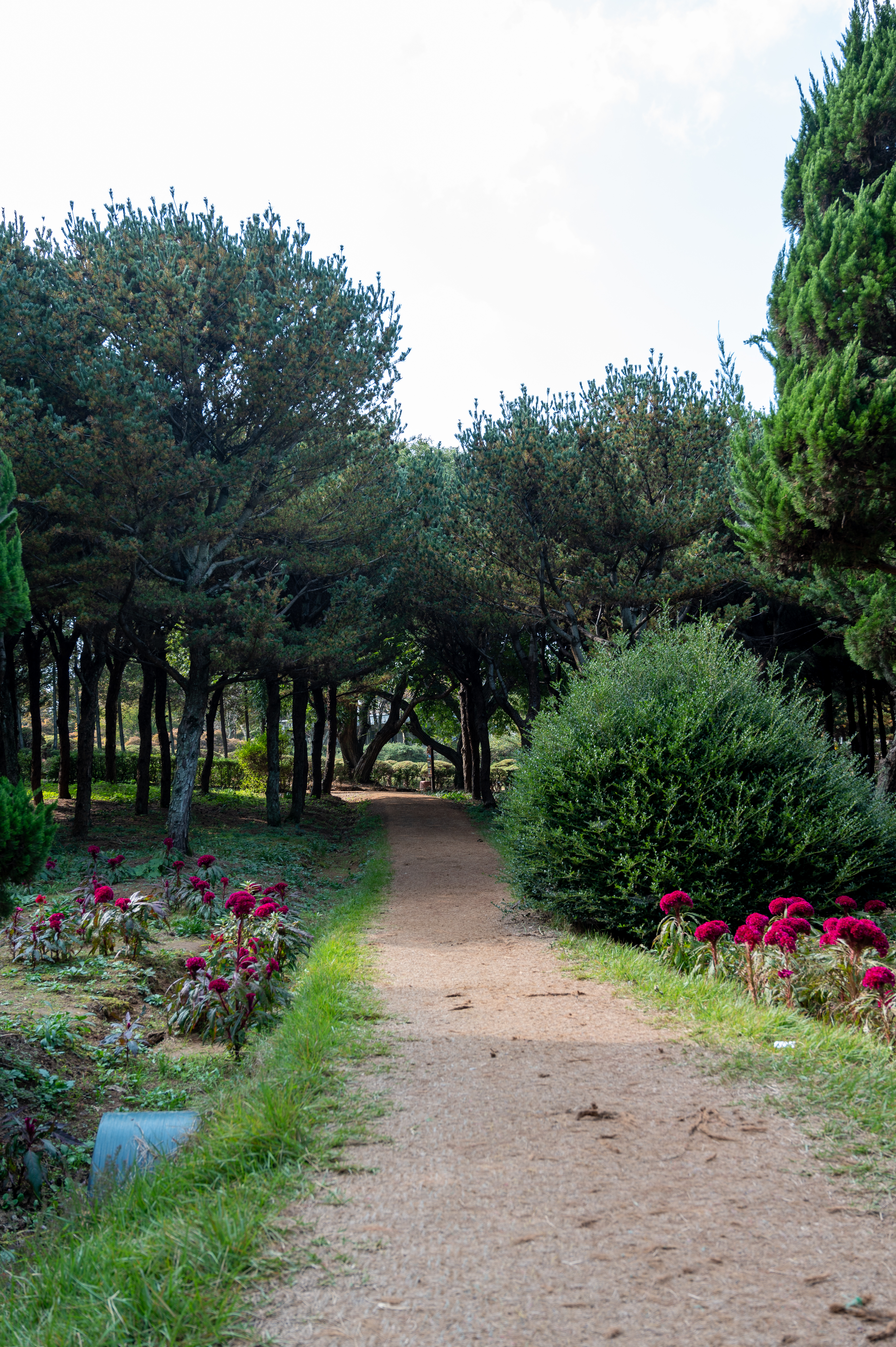 ์๊ฐํ ์ ์