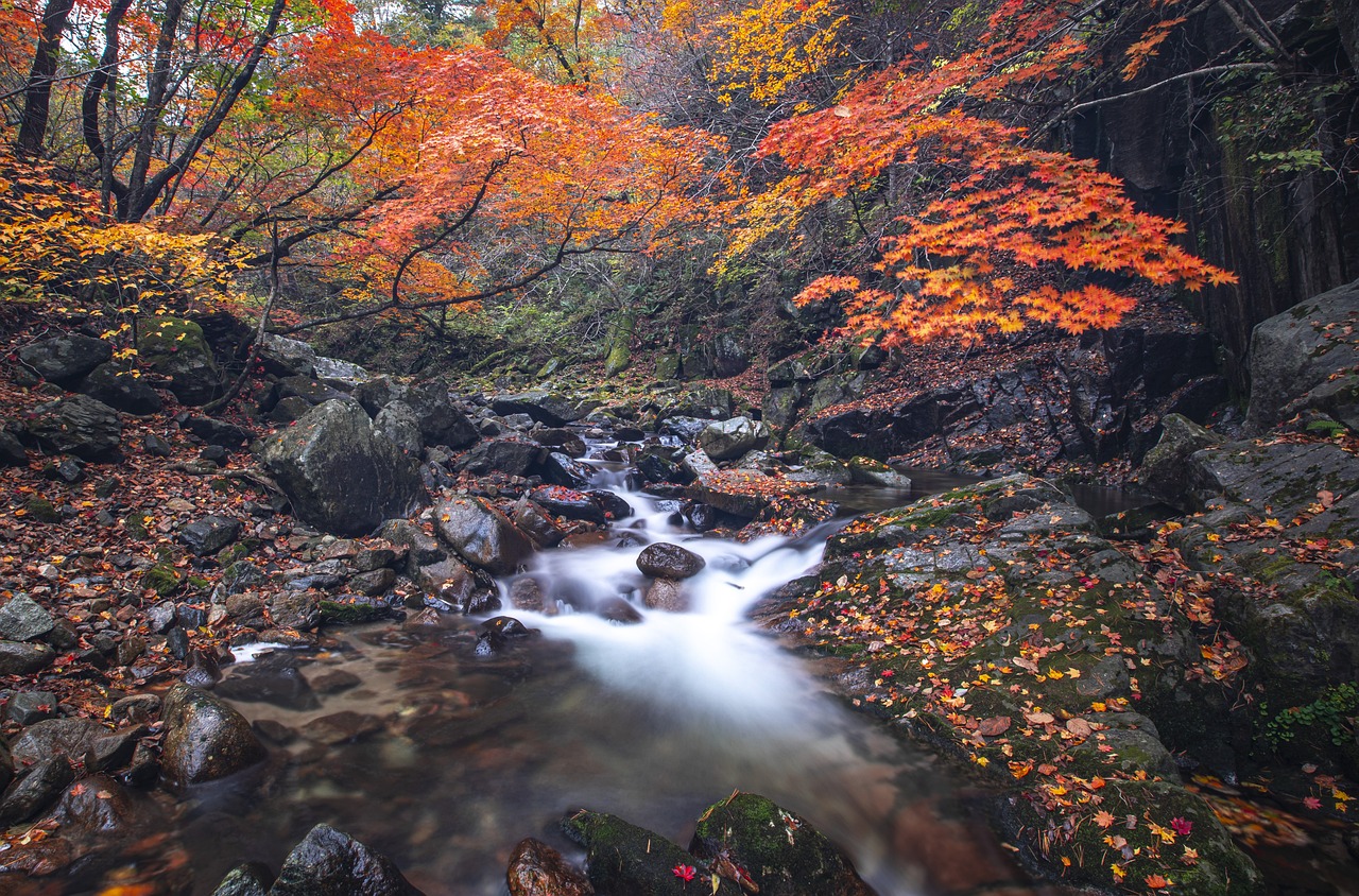 안녕하세요 motin 블로그입니다.