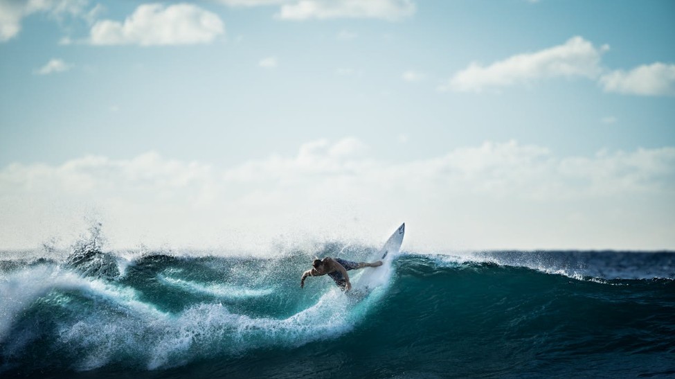 서핑 입문자를 위한 가이드 관련 사진