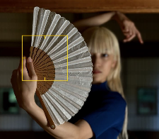 사진 촬영 후 초점을 조절할 수 있음을 보여주는 사진으로 이 사진에선 부채에 초점이 잡혀 있음