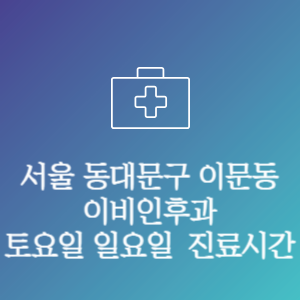 서울 동대문구 이문동 이비인후과 주말 토요일 일요일 문여는 병원 진료시간